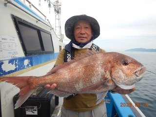 マダイ