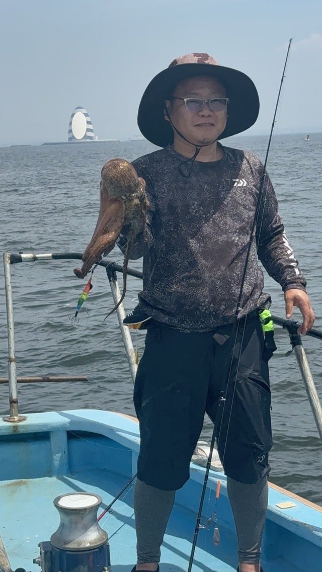 マダコ