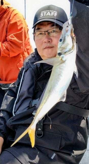 アジ(マアジ)