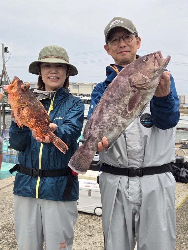 マハタ・ウッカリカサゴ