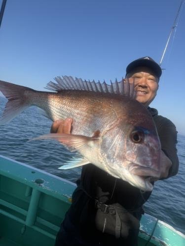 マダイ