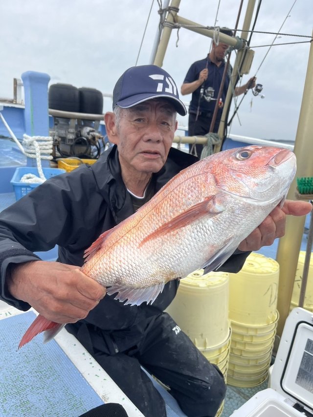マダイ