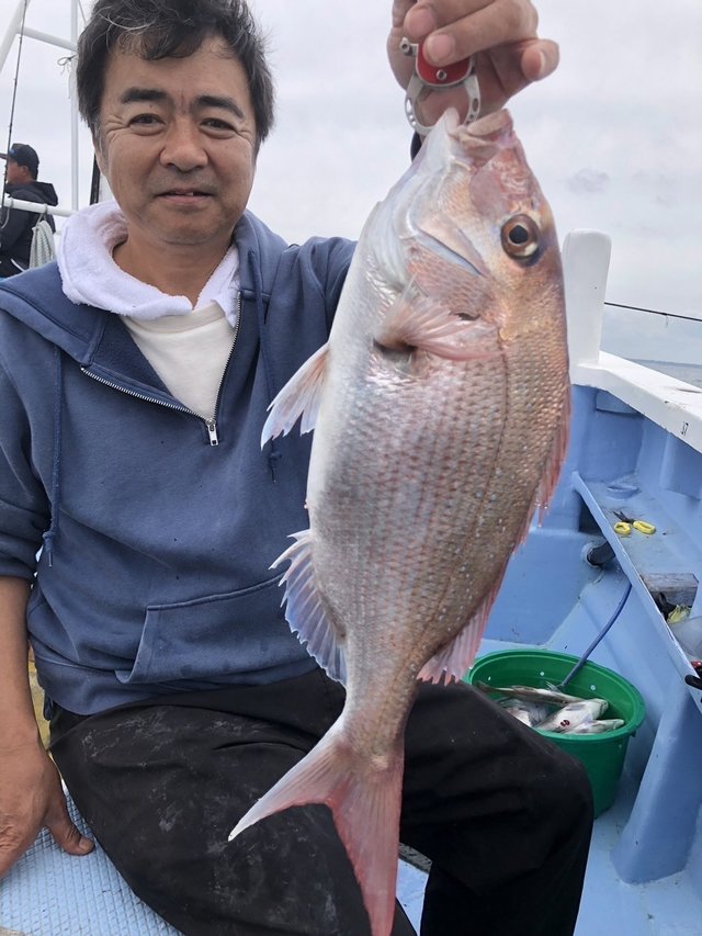 マダイ