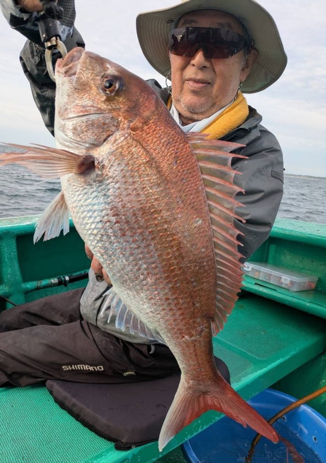 マダイ