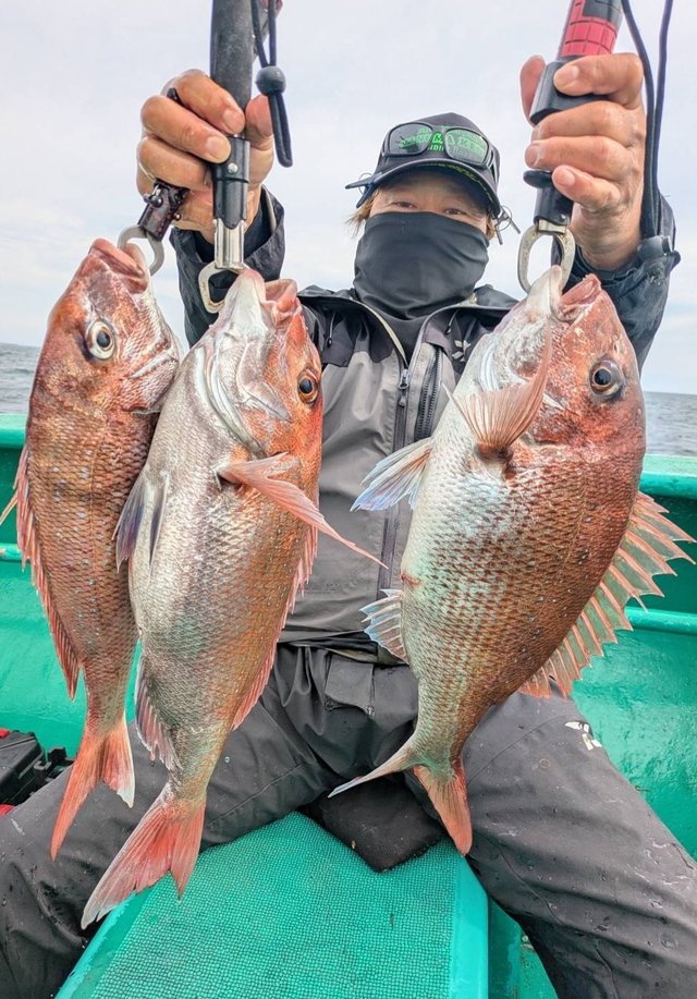 マダイ