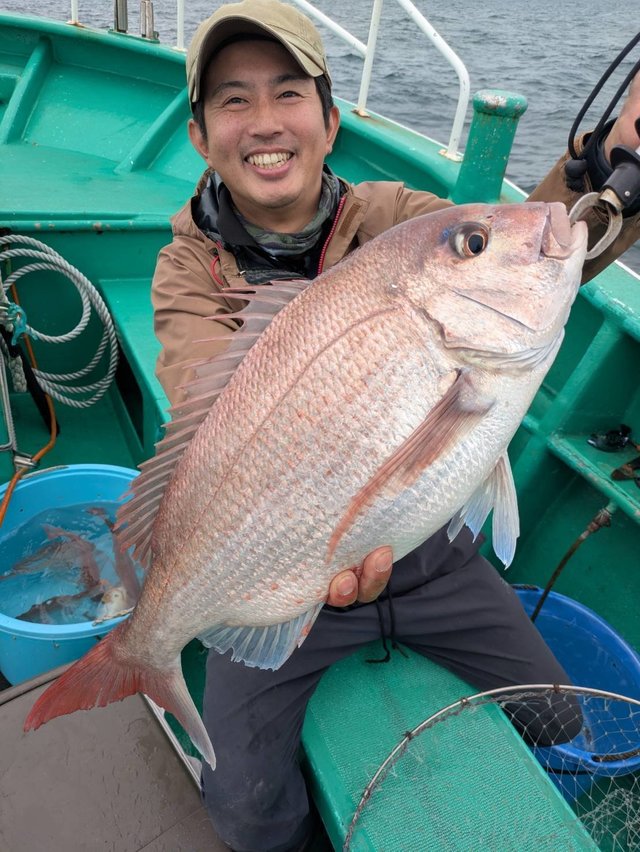 マダイ