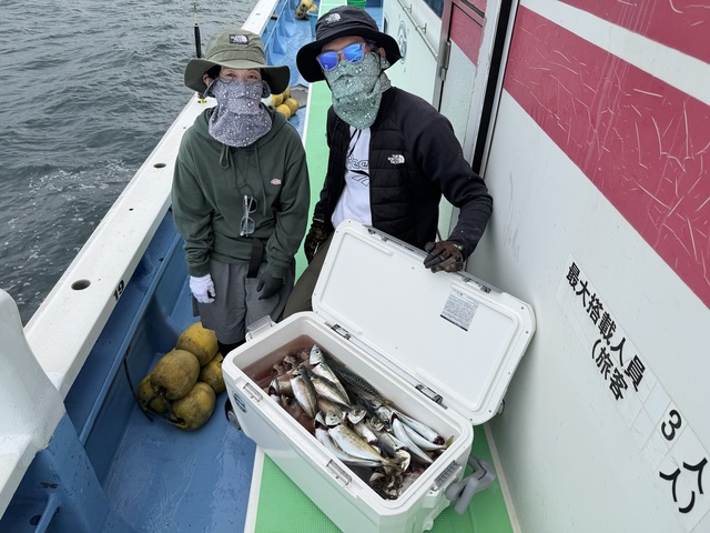 マアジ