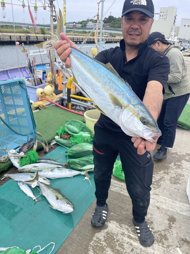 ヒラマサ