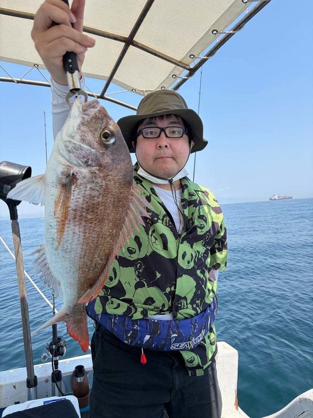 マダイ
