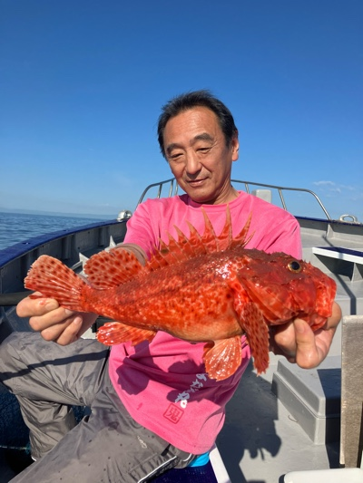 オニカサゴ