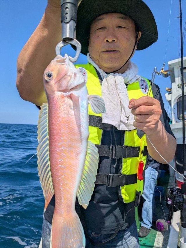 シロアマダイ