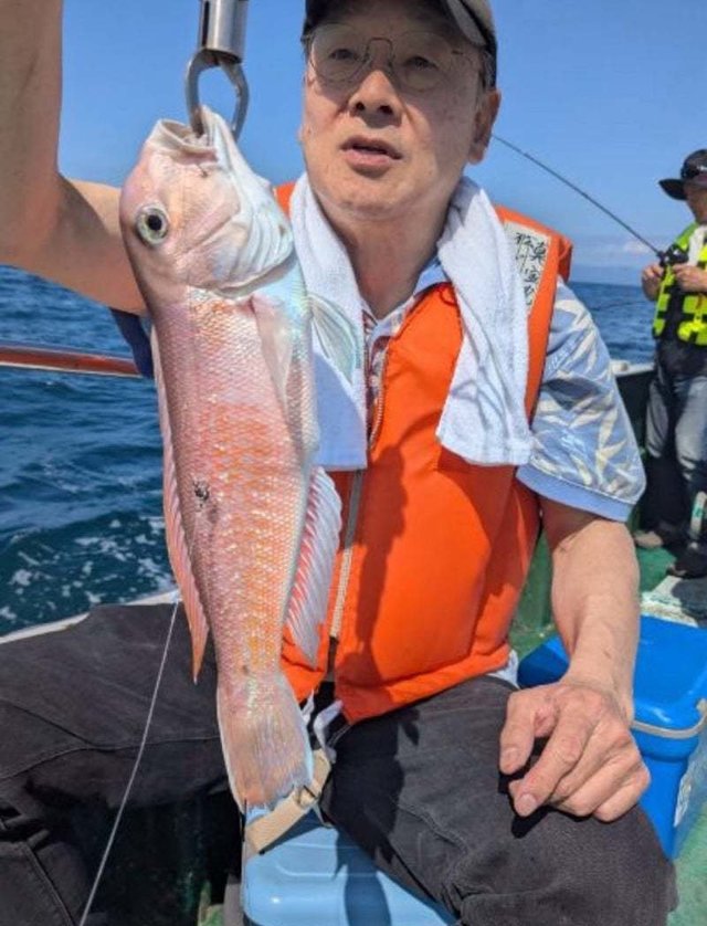 シロアマダイ