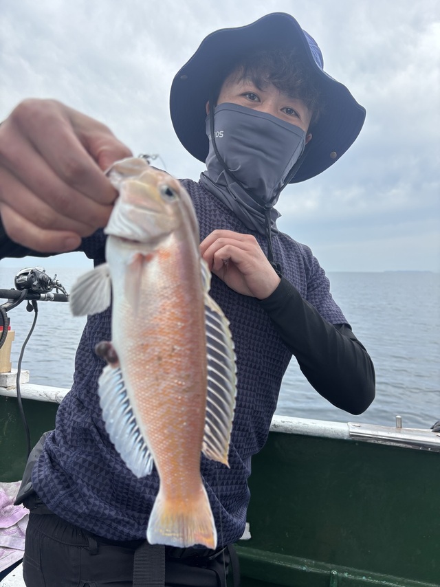 シロアマダイ