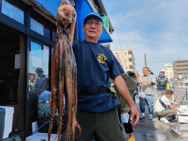 マダコ