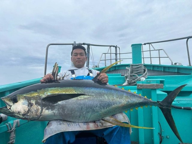 関東で釣れたキハダの最新釣果、釣り情報【2026年6月】