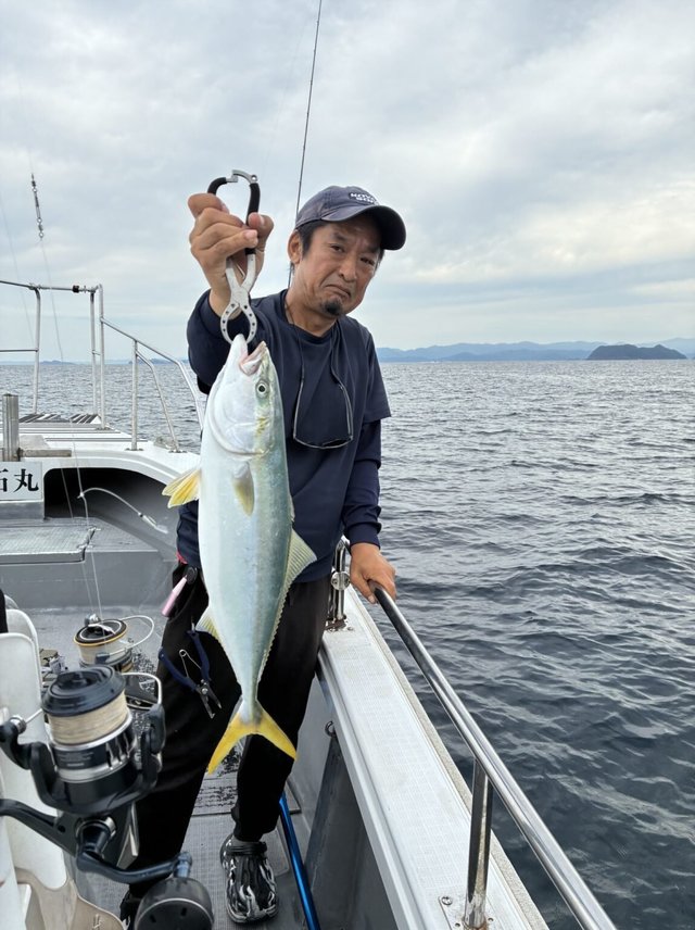 ハマチ(ブリ)