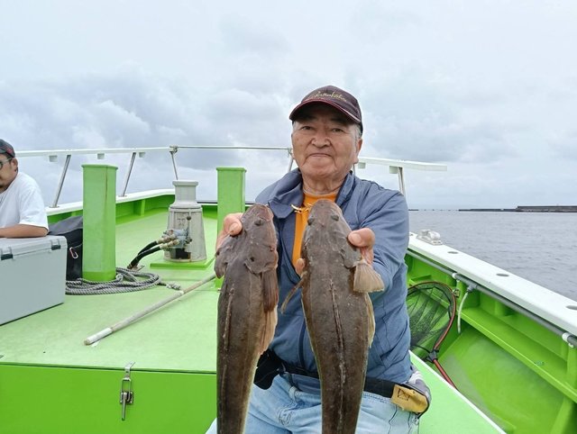 マゴチ