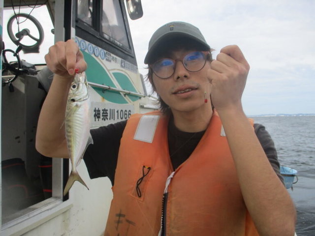 アジ(マアジ)