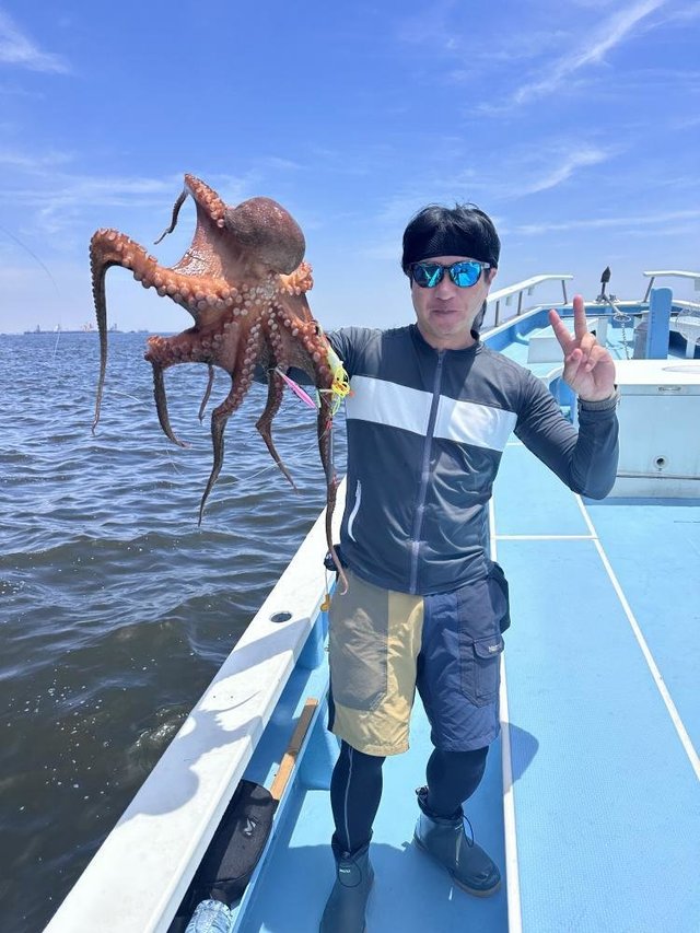 マダコ