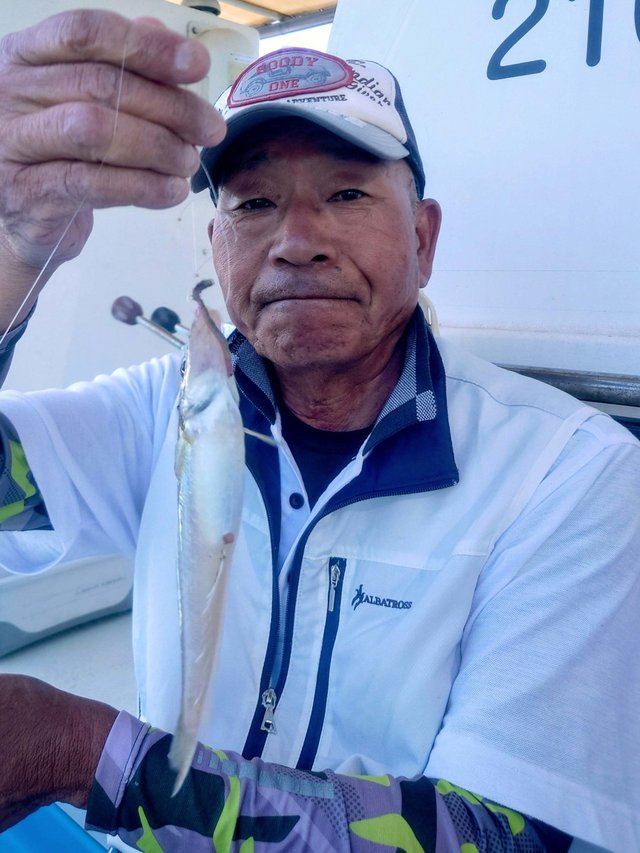 シロギス