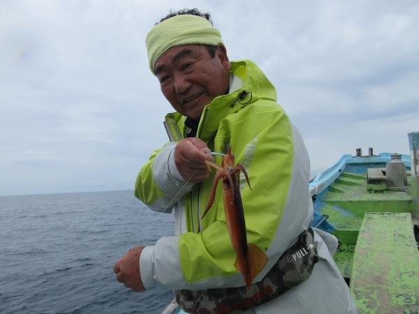 スルメイカ