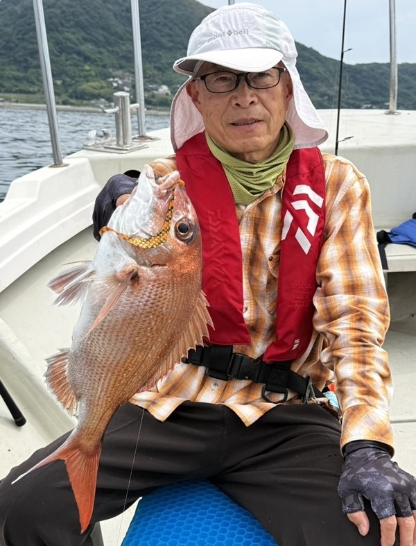 マダイ