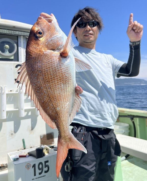マダイ