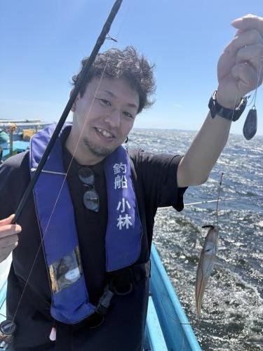 シロギス