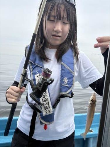 シロギス
