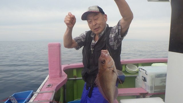 マダイ