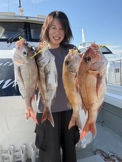 マダイ