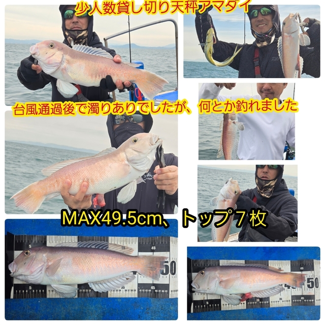 シロアマダイ