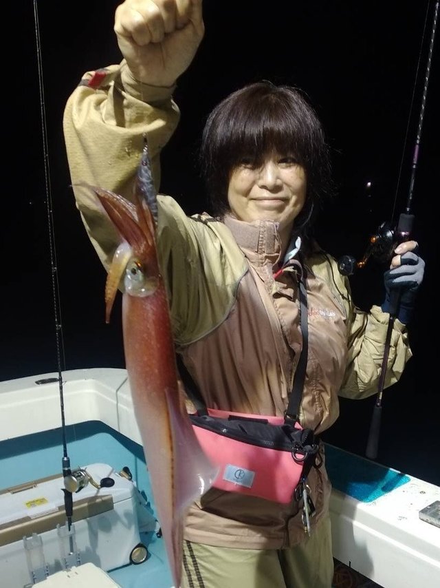 ヤリイカ