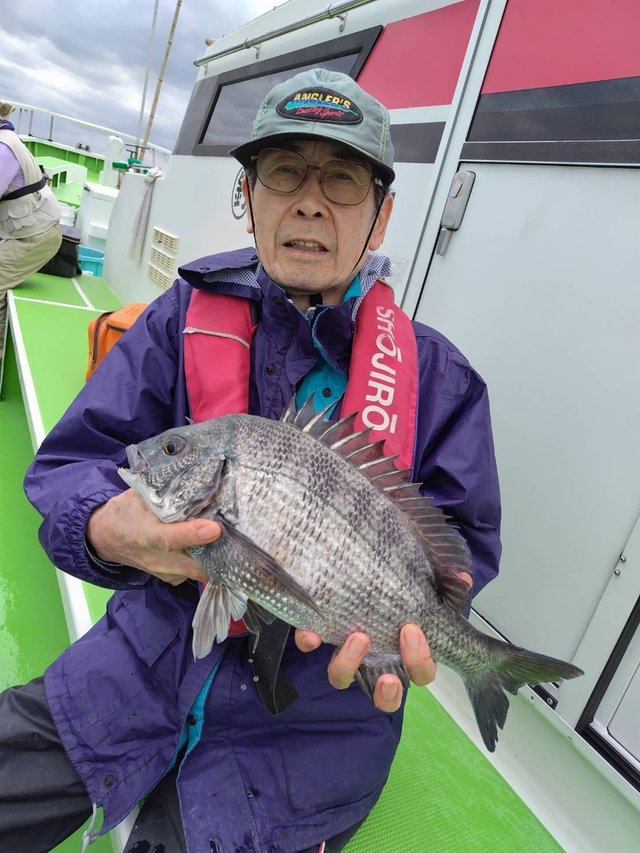 クロダイ