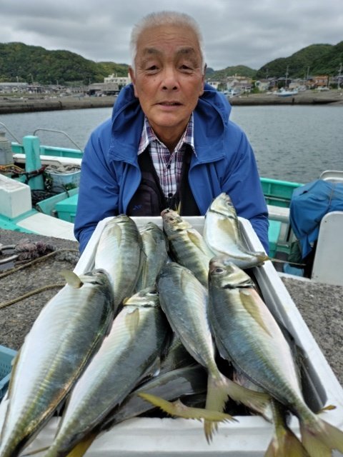 アジ(マアジ)