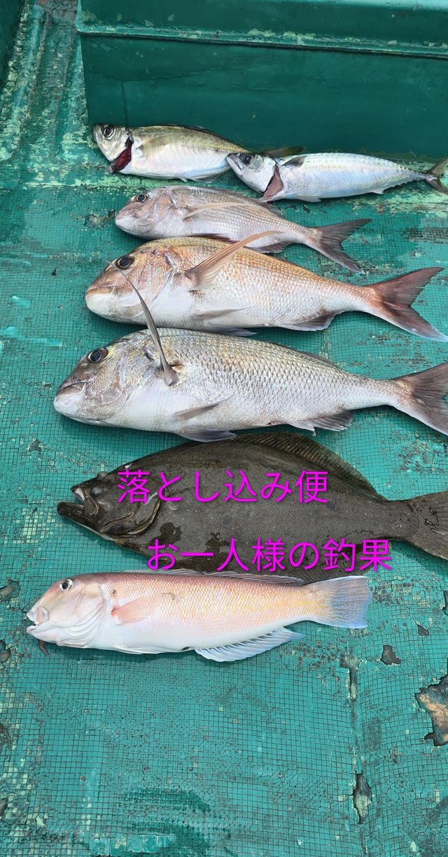 マダイ・シロアマダイ・ヒラメ