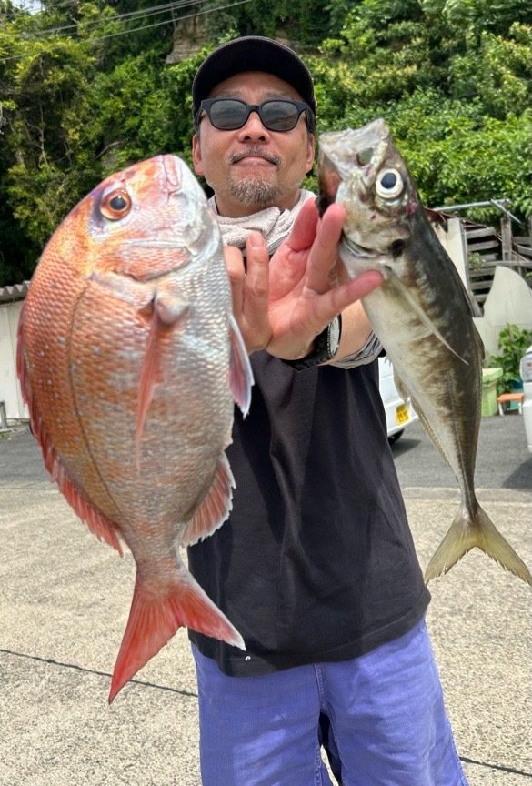 マダイ・マアジ