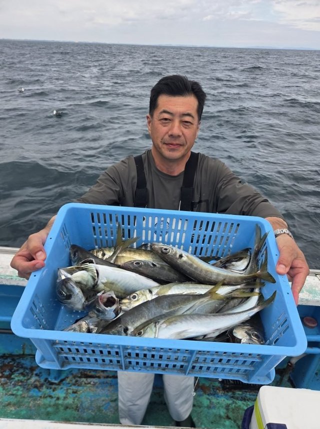 アジ(マアジ)