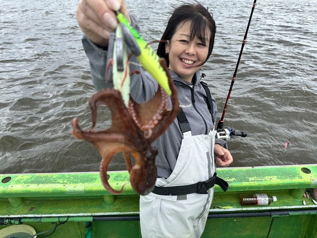 マダコ