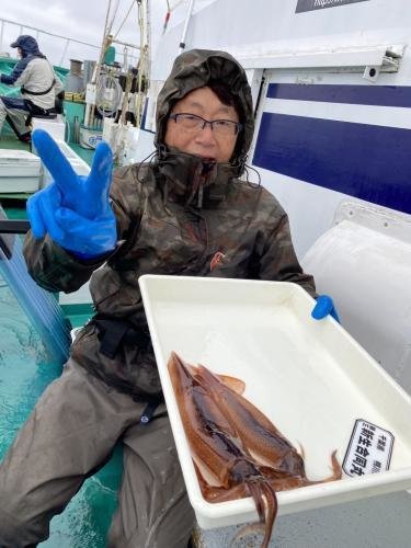 スルメイカ