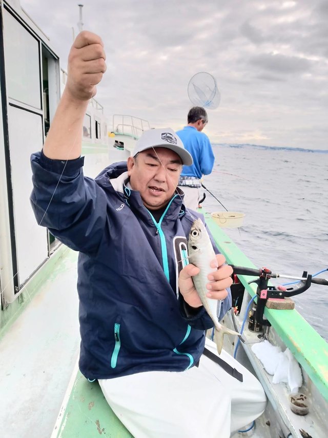 アジ(マアジ)
