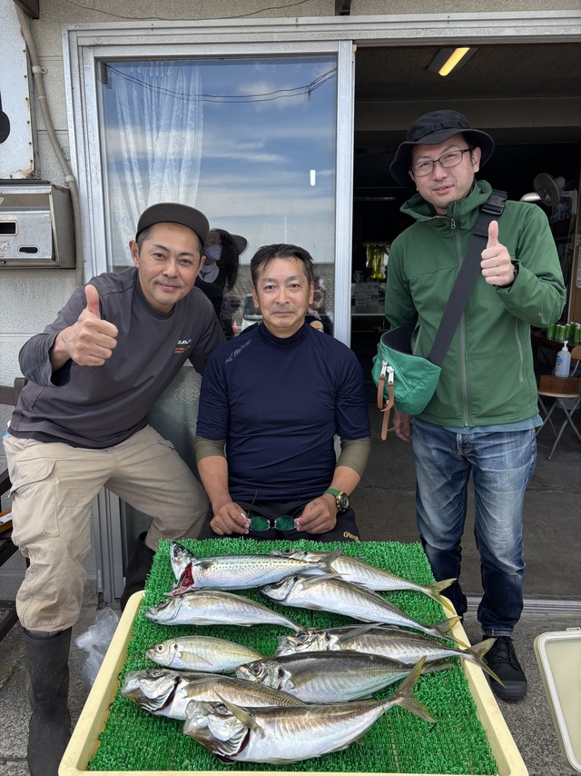 アジ(マアジ)