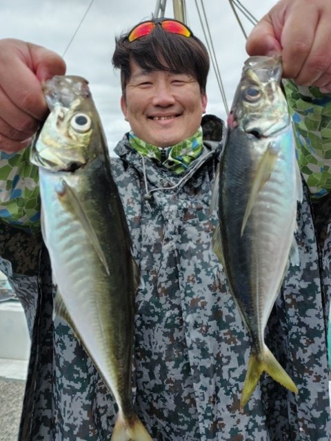 アジ(マアジ)
