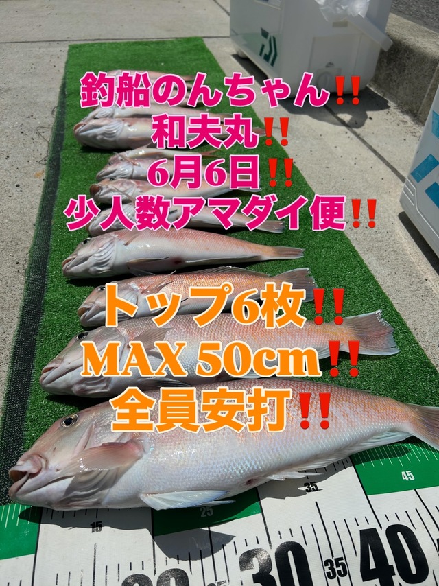 シロアマダイ