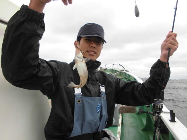 シロギス