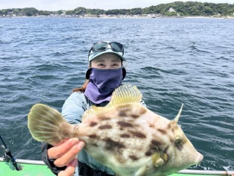 カワハギ