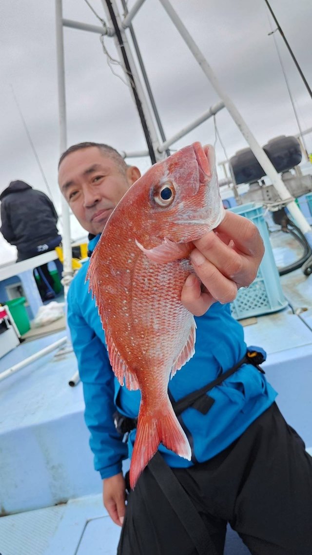 マダイ