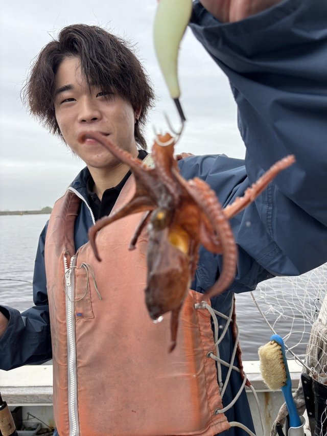 マダコ