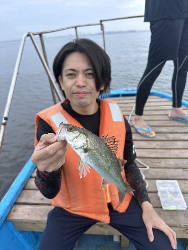 シーバス(スズキ)