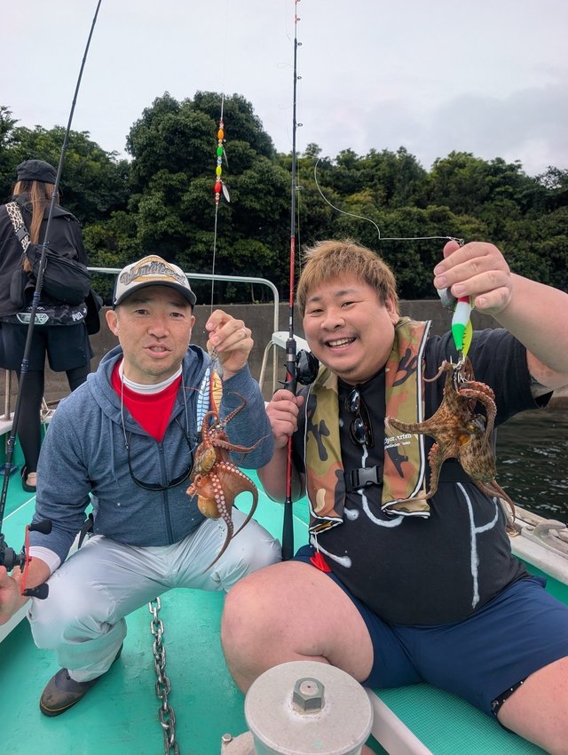 マダコ